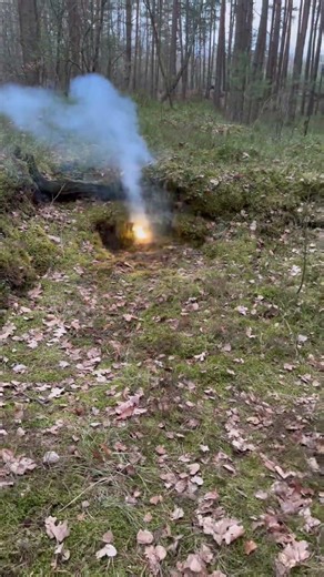 #fireworks #test #pyro #experiment #shorts