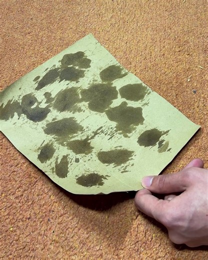 505K views · 87 reactions | Don’t panic, wax stains are beatable! - video by FTP | The Workshop | Facebook