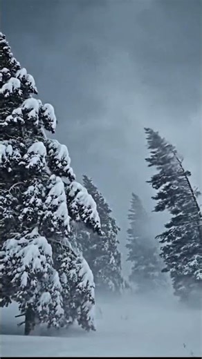 Blizzard Chaos 🌨️ Tree Falls During Violent Storm | Mountain Cabin Moment