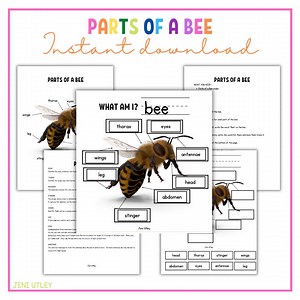 Parts of a Bee Worksheet | Label a Bee Activity for Kids | Bee Anatomy Printable for Preschool and Kindergarten - Etsy