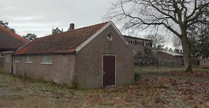 Video von Matthias Groeneveld auf Pexels