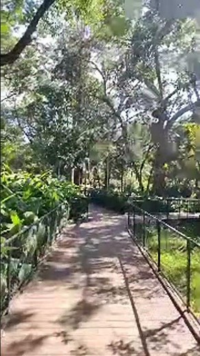 A quick guide to visiting the Ipiranga Museum! 🏛️🇧🇷 #Shorts