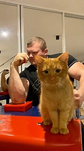 Toproll armwrestling #DC | Kamil Jablonski