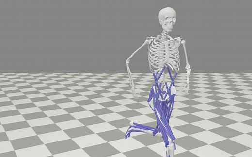 【OpenSim保姆级教程】人体跑步下的肌肉驱动（Muscle-actuated Simulation of Human Running）