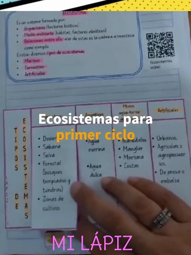 Los Ecosistemas para Primer Ciclo: Material Didáctico Innovador