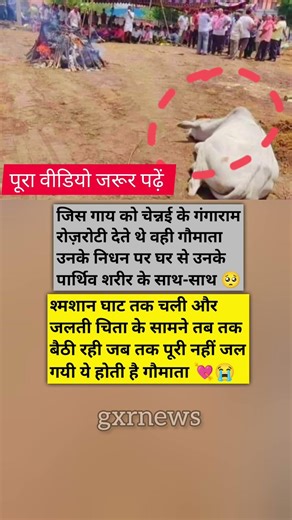 #timelapse, start to finish alone build log cabin, how to build wooden, cabin surviva EP_113