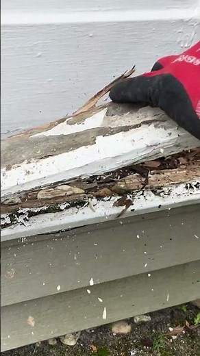 How To Replace A Rotten Window Sill Part 1 Removing The Sill