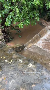 61K views · 562 reactions | La tormenta de ayer, como a muchos, me...