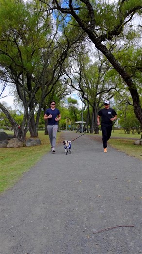 164 reactions · 13 shares |  Sumemos para una ciudad más limpia. Ayuda a quien deja huella y no basura.  ¡Recoge el excremento de tu mascota y suma! . . . . . . . . . . #TodoSuma #emactúyo #ciudadlimpia #AmorPorCuenca❤️ @seguidores | EMAC EP | Facebook