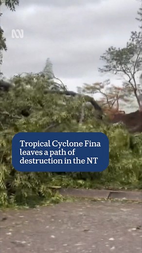 Tropical Cyclone Fina leaves a path of destruction in the NT 🌀🌳🌴 🎥 Michael Franchi shot this at Lee Point #ABCNewsNT | ABC Darwin