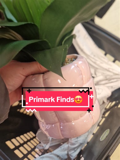 First Primark Haul | 2026😍 #primark #primarkfinds #primarknewin #valentinesday #shopwithme
