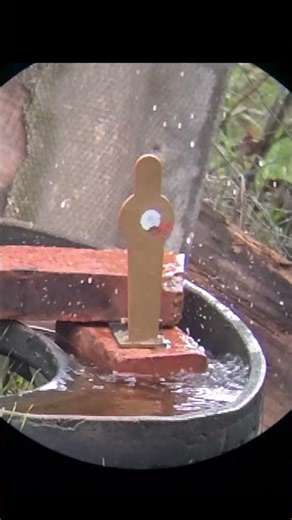 JSB EXACT .35 cal / FX IMPACT M3 /#viral #shorts #funny 😮