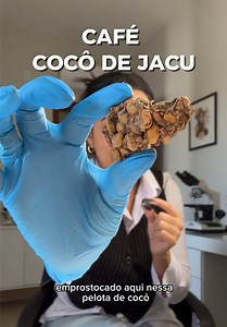 Café do Jacu: você tomaria esse café exótico?
