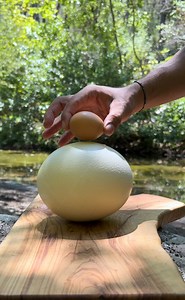 #outdoorcooking #Outdoor #cooking | Natur Cenk