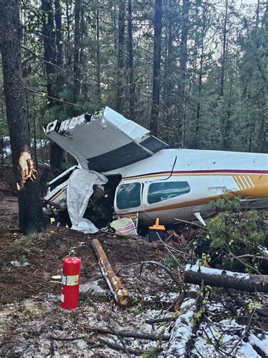 UPDATE: Pilot identified in Lake County Plane Crash, Dog Aboard Makes It Out Alive