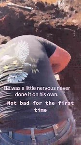 919K views · 16K reactions | #plumbing #service #repair #poolfill #antisiphon #plumber #ez #money #brass #galvi #unions #teflon #bluemonster | The Plumbers Plunger | Facebook