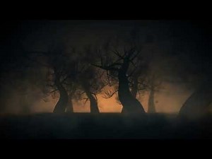 Tree Silhouettes Background Video | Relaxing Nature Ambience