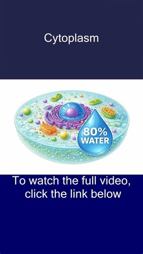 What is Cytoplasm | 80% of Cell is Liquid #neet #science #chemistry #biology