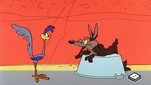 Road Runner doesn't have to obey the laws of physics 🤷🐦💨 | Boomerang