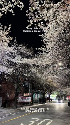 Cherry blossoms at night have a different yet calming vibe. The soft glow of the streetlights shining on the petals creates a peaceful spring atmosphere that feels both romantic and serene. Experiencing cherry blossom season at night is something you should this on your spring trip. South Korea Itinerary, Seoul Vacation, Weather in Korea, Aesthetic Views #SouthKorea #KoreaItinerary #cherryBlossoms #TravelVideo #fyp