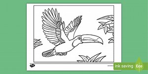 Flying Toucan Colouring Page