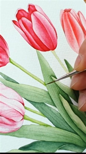 Watercolor Tulip