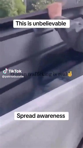 House of Rothschilds on Reels