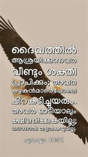#christianwatsappstatus #malayalamchristiandevotionalsongs #loveuponjesus #jesus #bibleverse #shorts