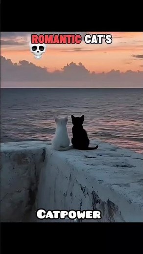 CAT power lucky