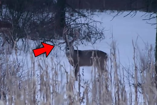 Big Drop-Tine Buck Gets Dropped in Iowa Muzzleloader Hunt