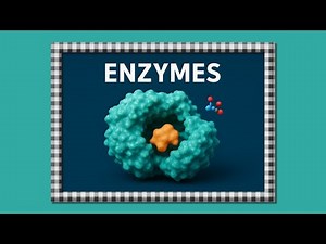 3- structural classification of enzymes