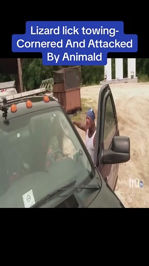 lizardlicktowing on TikTok