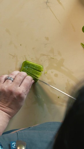 brunoise is a technique for cutting vegetables. it is the method of cutting vegetables into the smallest pieces before they’re considered to be a mince. 🌈 the more you know. #topchef #topchefworldallstars #chefsara #freighthouse #paducah #kentucky #partakeinpaducah #cooking #food #chef#delicious #yummy #dinner #foodphotography #eatlocal #supportlocal #downtownpaducah #fresh #comegetit #instagood #meatloaf #stroganoff #viral #love #instagram #explorepage #like #follow #tiktok #explore #trend #tr