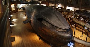 10 of the most interesting archaeological artifacts from the history