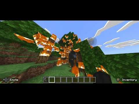 Agglomerated Smoke Showcase