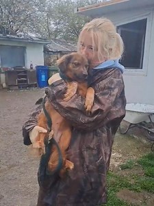 This is a dear little girl. She has two puppies that are already bigger than she is 😞 but they no longer need her so she could travel soon. I am hoping another rescue steps up for such a sweet dog so that we don’t have to. We always try and take the dogs that other rescues aren’t so keen to, but if the easier ones don’t get reserved we can’t leave them here to be destroyed by the environment either. It’s important that the easy, friendly dogs get out before they lose their faith in humans and b