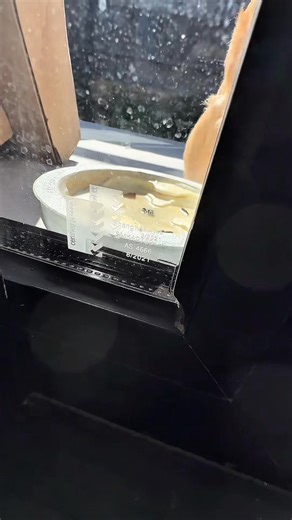 284K views · 2.3K reactions | I think we need to do a full site inspection on this one… #buyerbeware Building and Plumbing Commission | Site Inspections | Facebook