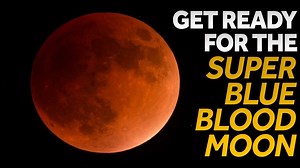 238K views · 56 reactions | A supermoon will be visible on Jan. 31...