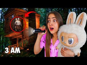 OVERNIGHT in a HAUNTED Labubu TREEHOUSE