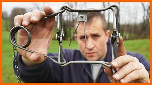 Vicious predator battles farmer in a dramatic man versus mink showdown