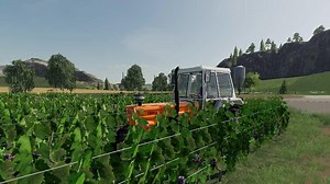 Vineyard v1.0 - FS19 mod - FS19.net