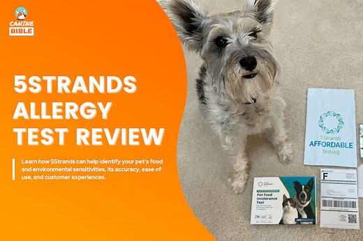 5Strands Allergy Test For Dogs Reviews 2024: Is It Reliable? - Canine Bible