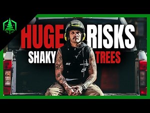 Tree Cutting Near Power Lines | Will It Fall Right?