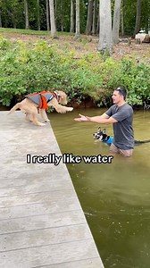267K views · 10K reactions | Emma’s first swim! It was so fun that Ellie fell asleep sitting up  Life jacket by @julius_k9. Promo GOLDEN for 15% off. #jk9partner #juliusk9 #goldenretrieverlife #dog #puppy #lake #swim #summer #happy #pet #cute #bffs #adventure #optoutside #dogsofinstagram #golden | Ellie Golden Life | Facebook
