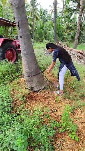 கழிவை பணமாக மாற்றுறீங்களா?💰One Machine… Multiple Income Streams💸 Farm Waste Shredder cum Pulverizer😎