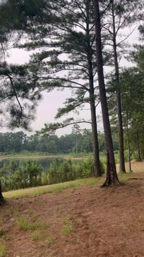 1.1K views · 28 reactions | Mitzi Reed, a biologist and one of G&G's Champions of Conservation, is using lessons from her Choctaw heritage to fight invasive species in Mississippi. Learn more about her role with the Native American Fish and Wildlife Society and find out how you can join the cause from home: https://ow.ly/Ukln50PUQTj In partnership with Visit Asheville. | Garden & Gun Magazine | Facebook