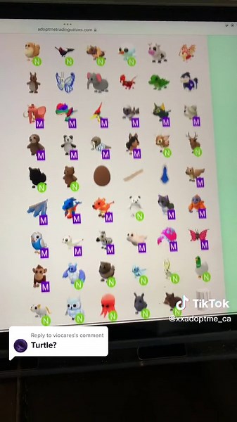 Exploring Turtle Value in Roblox Adopt Me