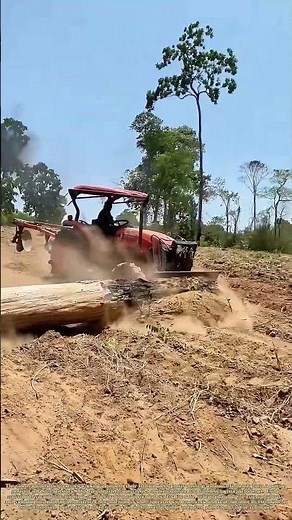 Tandem Giants: How Heavy Timber Finds Its Place