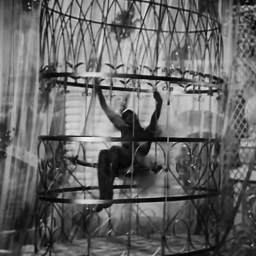 ♡ josephine baker as zouzou in zouzou (1934) ♡ #josephinebaker #zouzou #oldhollywood #goldenageofhollywood #classichollywood #frenchcinema #blackhistory #dancer #1930s #vintage