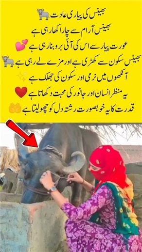 Grooming with Love ❤️"#shorts#youtubeshorts